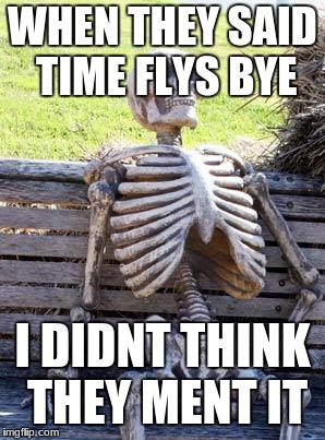 Waiting Skeleton | WHEN THEY SAID TIME FLYS BYE; I DIDNT THINK THEY MENT IT | image tagged in memes,waiting skeleton | made w/ Imgflip meme maker