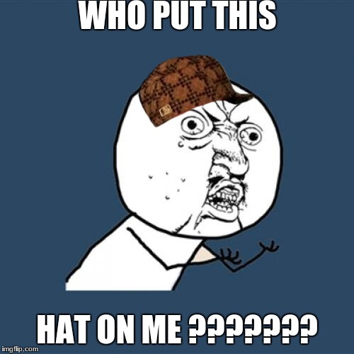 Y U No Meme | WHO PUT THIS; HAT ON ME ??????? | image tagged in memes,y u no,scumbag | made w/ Imgflip meme maker