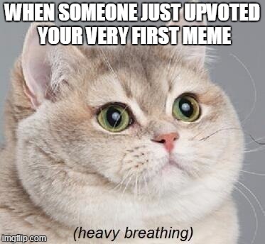 For the first time in forever...  | WHEN SOMEONE JUST UPVOTED YOUR VERY FIRST MEME | image tagged in memes,heavy breathing cat | made w/ Imgflip meme maker