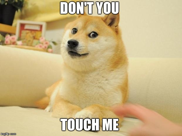 Doge 2 | DON'T YOU; TOUCH ME | image tagged in memes,doge 2 | made w/ Imgflip meme maker