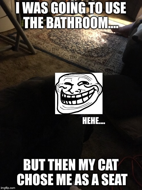 Cat Problems  | I WAS GOING TO USE THE BATHROOM.... HEHE.... BUT THEN MY CAT CHOSE ME AS A SEAT | image tagged in cats,troll,troll face,bathroom | made w/ Imgflip meme maker