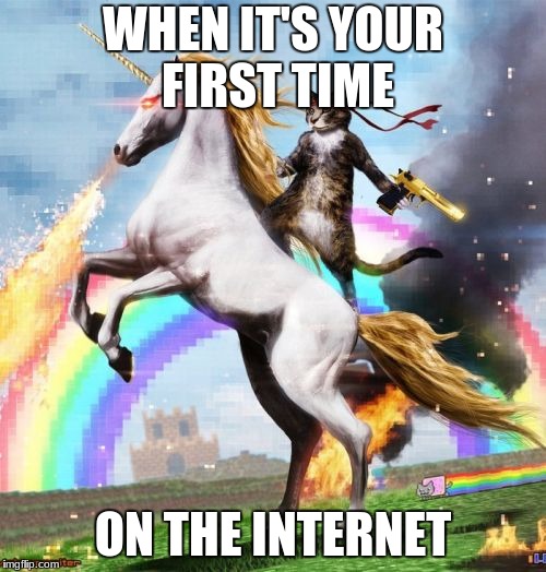 Welcome To The Internets | WHEN IT'S YOUR FIRST TIME; ON THE INTERNET | image tagged in memes,welcome to the internets | made w/ Imgflip meme maker