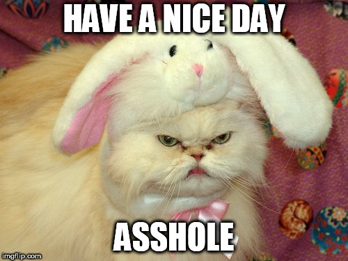 Have a nice Day | HAVE A NICE DAY; ASSHOLE | image tagged in mad cat,asshole | made w/ Imgflip meme maker