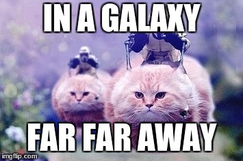 Star Wars Memes | IN A GALAXY; FAR FAR AWAY | image tagged in cats are awesome,star wars | made w/ Imgflip meme maker