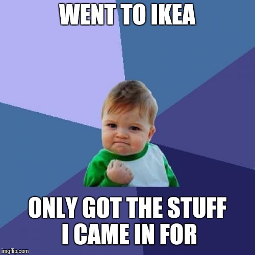 Success Kid Meme | WENT TO IKEA; ONLY GOT THE STUFF I CAME IN FOR | image tagged in memes,success kid | made w/ Imgflip meme maker