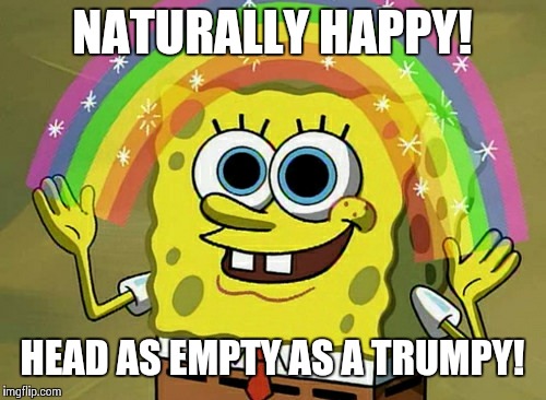 Imagination Spongebob Meme | NATURALLY HAPPY! HEAD AS EMPTY AS A TRUMPY! | image tagged in memes,imagination spongebob | made w/ Imgflip meme maker