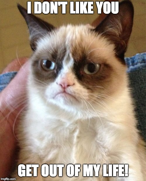 Grumpy Cat | I DON'T LIKE YOU; GET OUT OF MY LIFE! | image tagged in memes,grumpy cat | made w/ Imgflip meme maker