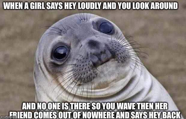 Awkward Moment Sealion Meme | WHEN A GIRL SAYS HEY LOUDLY AND YOU LOOK AROUND; AND NO ONE IS THERE SO YOU WAVE THEN HER FRIEND COMES OUT OF NOWHERE AND SAYS HEY BACK | image tagged in memes,awkward moment sealion | made w/ Imgflip meme maker