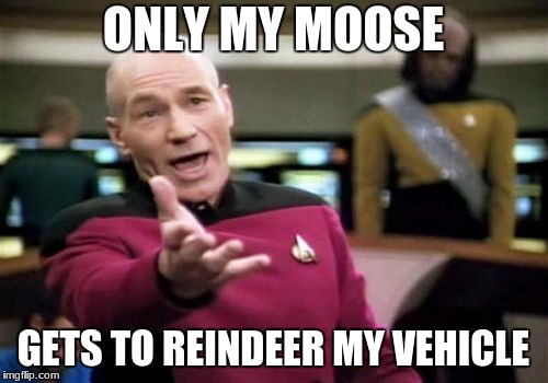 Picard Wtf Meme | ONLY MY MOOSE GETS TO REINDEER MY VEHICLE | image tagged in memes,picard wtf | made w/ Imgflip meme maker
