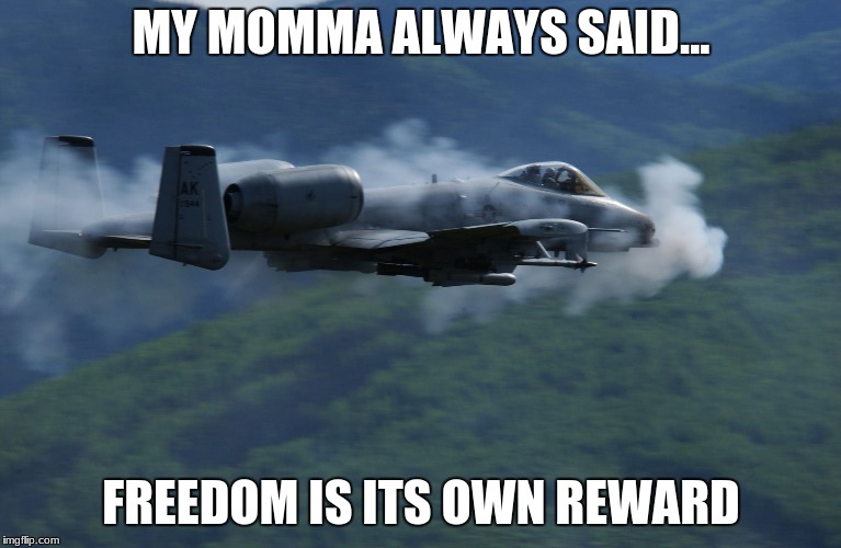 a10 | MY MOMMA ALWAYS SAID... FREEDOM IS ITS OWN REWARD | image tagged in a10 | made w/ Imgflip meme maker