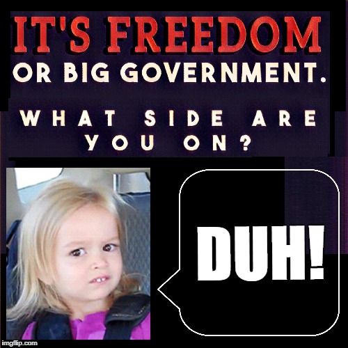 The Trillion Dollar Question | DUH! | image tagged in vince vance,big government,incredulous little girl,duh,freedom,a simple quiz | made w/ Imgflip meme maker