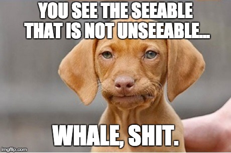 Well Shit | YOU SEE THE SEEABLE THAT IS NOT UNSEEABLE... WHALE, SHIT. | image tagged in well shit | made w/ Imgflip meme maker