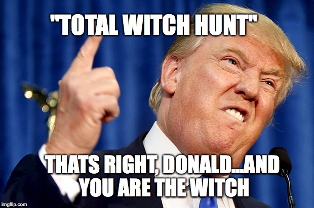 Donald Trump | "TOTAL WITCH HUNT"; THATS RIGHT, DONALD...AND YOU ARE THE WITCH | image tagged in donald trump | made w/ Imgflip meme maker
