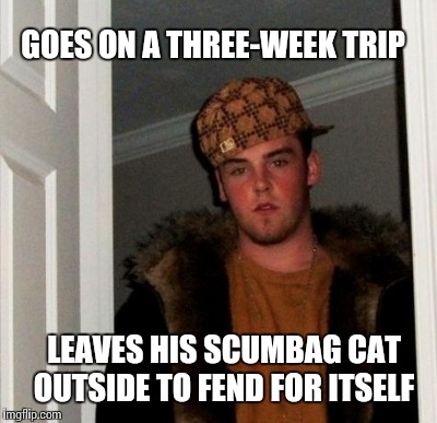 GOES ON A THREE-WEEK TRIP LEAVES HIS SCUMBAG CAT OUTSIDE TO FEND FOR ITSELF | made w/ Imgflip meme maker