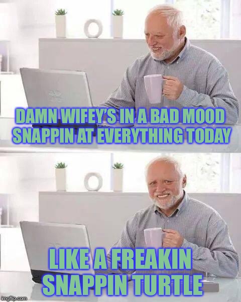 Hide the Pain Harold | DAMN WIFEY’S IN A BAD MOOD SNAPPIN AT EVERYTHING TODAY; LIKE A FREAKIN SNAPPIN TURTLE | image tagged in memes,hide the pain harold | made w/ Imgflip meme maker