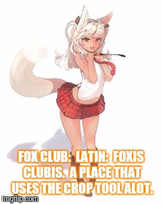 FOX CLUB:  LATIN:  FOXIS CLUBIS.  A PLACE THAT USES THE CROP TOOL ALOT. | made w/ Imgflip meme maker