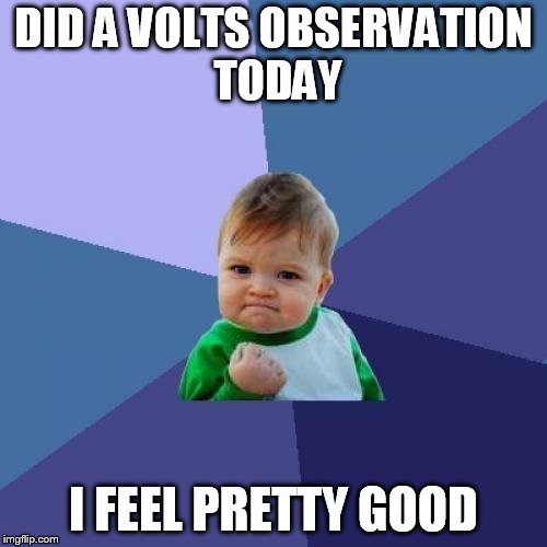Success Kid Meme | DID A VOLTS OBSERVATION TODAY; I FEEL PRETTY GOOD | image tagged in memes,success kid | made w/ Imgflip meme maker