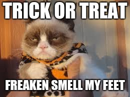 Grumpy Cat Halloween Meme | TRICK OR TREAT; FREAKEN SMELL MY FEET | image tagged in memes,grumpy cat halloween,grumpy cat | made w/ Imgflip meme maker
