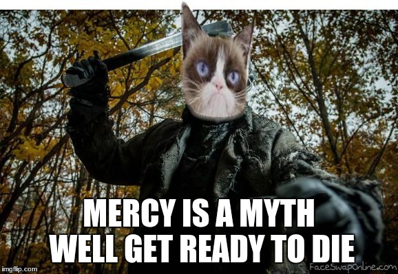 grumpy cat jason | MERCY IS A MYTH WELL GET READY TO DIE | image tagged in grumpy cat jason | made w/ Imgflip meme maker