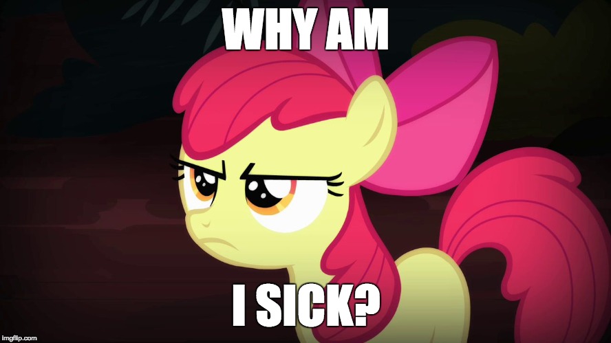 At least, I'm not bedridden (like I was on Saturday) | WHY AM; I SICK? | image tagged in angry applebloom,memes,sick | made w/ Imgflip meme maker