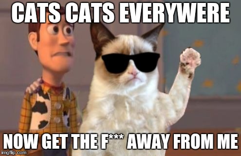 Grumpy Cat Everywhere | CATS CATS EVERYWERE; NOW GET THE F*** AWAY FROM ME | image tagged in grumpy cat everywhere | made w/ Imgflip meme maker