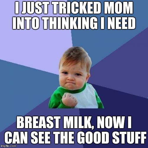 Success Kid | I JUST TRICKED MOM INTO THINKING I NEED; BREAST MILK, NOW I CAN SEE THE GOOD STUFF | image tagged in memes,success kid | made w/ Imgflip meme maker
