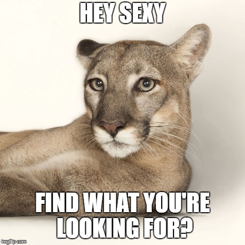 Cougar Love | HEY SEXY; FIND WHAT YOU'RE LOOKING FOR? | image tagged in cougar love | made w/ Imgflip meme maker