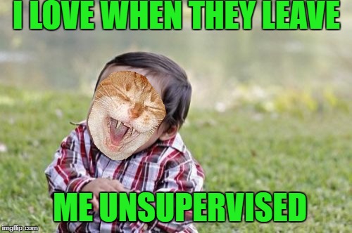 Evil Toddler Meme | I LOVE WHEN THEY LEAVE ME UNSUPERVISED | image tagged in memes,evil toddler | made w/ Imgflip meme maker