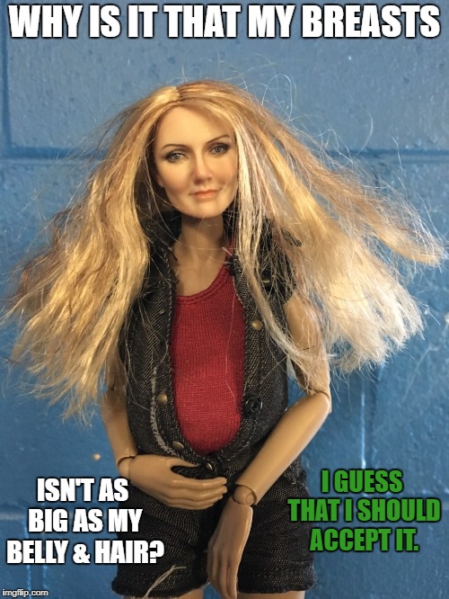 Chelsea Renee | WHY IS IT THAT MY BREASTS; I GUESS THAT I SHOULD ACCEPT IT. ISN'T AS BIG AS MY BELLY & HAIR? | image tagged in chelsea renee | made w/ Imgflip meme maker