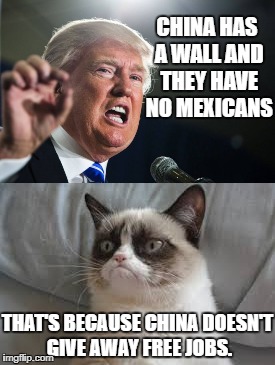 Donald Trump Logic | CHINA HAS A WALL AND THEY HAVE NO MEXICANS; THAT'S BECAUSE CHINA DOESN'T GIVE AWAY FREE JOBS. | image tagged in grumpy cat | made w/ Imgflip meme maker