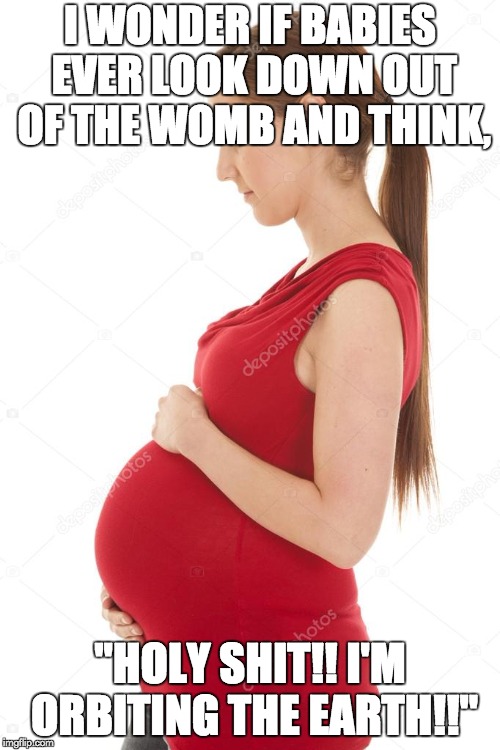 I WONDER IF BABIES EVER LOOK DOWN OUT OF THE WOMB AND THINK, "HOLY SHIT!! I'M ORBITING THE EARTH!!" | image tagged in pregnant side view | made w/ Imgflip meme maker