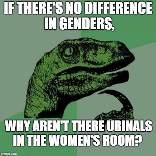 Philosoraptor Meme | IF THERE'S NO DIFFERENCE IN GENDERS, WHY AREN'T THERE URINALS IN THE WOMEN'S ROOM? | image tagged in memes,philosoraptor | made w/ Imgflip meme maker