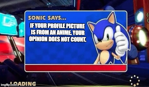 Sonic Says | IF YOUR PROFILE PICTURE IS FROM AN ANIME, YOUR OPINION DOES NOT COUNT. | image tagged in sonic says | made w/ Imgflip meme maker