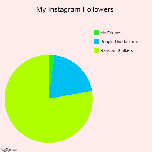 My Instagram Followers | Random Stalkers, People I kinda know, My Friends | image tagged in funny,pie charts | made w/ Imgflip chart maker