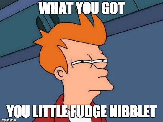 Futurama Fry Meme | WHAT YOU GOT; YOU LITTLE FUDGE NIBBLET | image tagged in memes,futurama fry | made w/ Imgflip meme maker