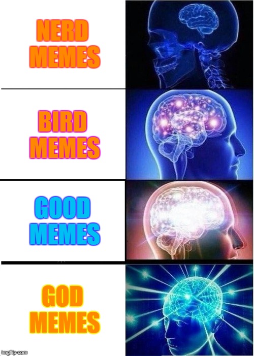Expanding Brain | NERD MEMES; BIRD MEMES; GOOD MEMES; GOD MEMES | image tagged in memes,expanding brain | made w/ Imgflip meme maker