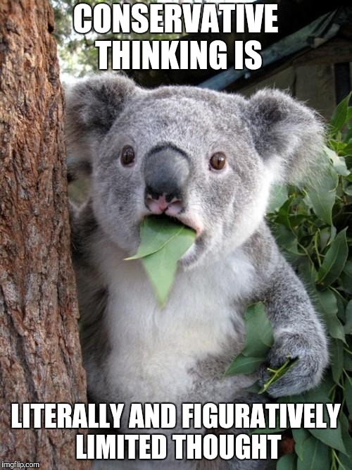 Surprised Koala Meme | CONSERVATIVE THINKING IS; LITERALLY AND FIGURATIVELY LIMITED THOUGHT | image tagged in memes,surprised koala | made w/ Imgflip meme maker