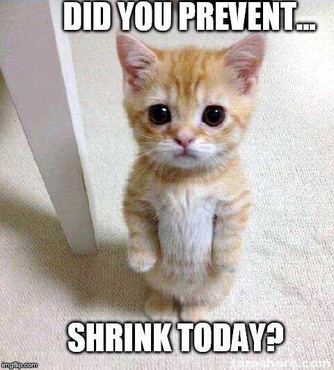 Cute Cat Meme | DID YOU PREVENT... SHRINK TODAY? | image tagged in memes,cute cat | made w/ Imgflip meme maker