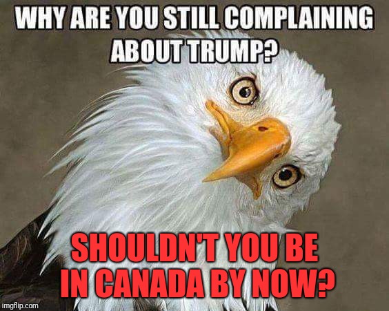 Really Doe. | WHY ARE YOU STILL COMPLAINING ABOUT PRESIDENT TRUMP? SHOULDN'T YOU BE IN CANADA BY NOW? | image tagged in president trump,donald trump,maga,dank memes,memes,oc | made w/ Imgflip meme maker