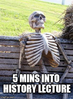 Waiting Skeleton Meme | 5 MINS INTO HISTORY LECTURE | image tagged in memes,waiting skeleton | made w/ Imgflip meme maker