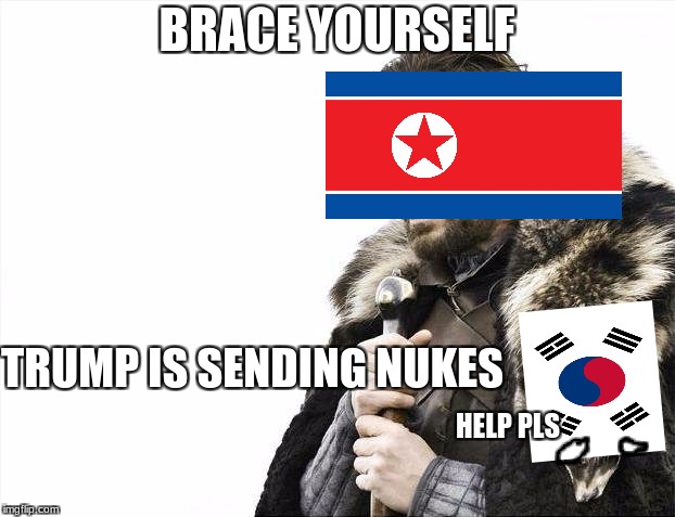Brace yourselves, Nukes are coming | BRACE YOURSELF; TRUMP IS SENDING NUKES; HELP PLS | image tagged in memes,brace yourselves x is coming,north korea,south korea,funny,donald trump | made w/ Imgflip meme maker