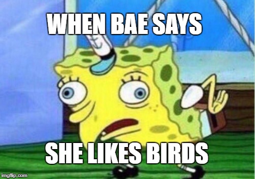 Mocking Spongebob Meme | WHEN BAE SAYS; SHE LIKES BIRDS | image tagged in memes,mocking spongebob | made w/ Imgflip meme maker