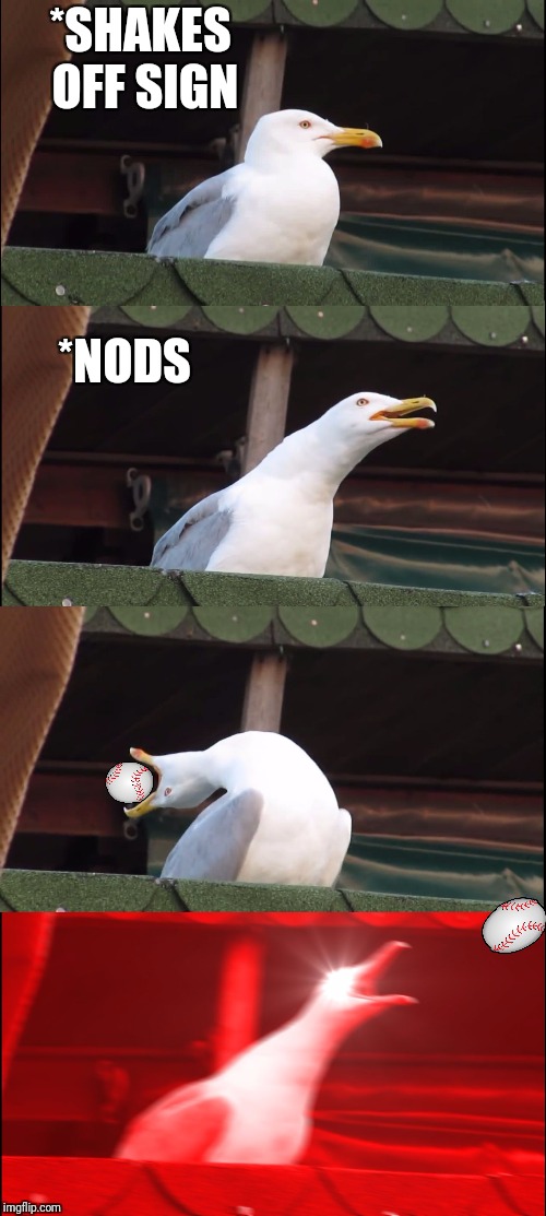 Inhaling Seagull Meme | *SHAKES OFF SIGN; *NODS | image tagged in memes,inhaling seagull | made w/ Imgflip meme maker