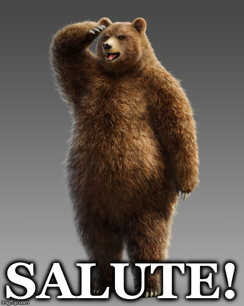 SALUTE! | image tagged in bearsalute1 | made w/ Imgflip meme maker