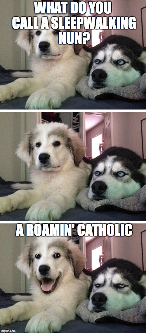 Bad jokes | WHAT DO YOU CALL A SLEEPWALKING NUN? A ROAMIN' CATHOLIC | image tagged in dog bad joke | made w/ Imgflip meme maker