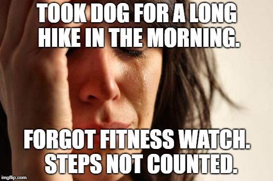 First World Problems | TOOK DOG FOR A LONG HIKE IN THE MORNING. FORGOT FITNESS WATCH.  STEPS NOT COUNTED. | image tagged in memes,first world problems,AdviceAnimals | made w/ Imgflip meme maker