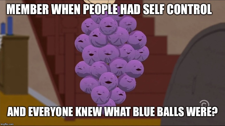 Member blue balls | MEMBER WHEN PEOPLE HAD SELF CONTROL; AND EVERYONE KNEW WHAT BLUE BALLS WERE? | image tagged in memes,member berries | made w/ Imgflip meme maker