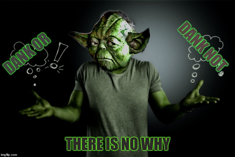 yoda shrug | DANK NOT; DANK OR; THERE IS NO WHY | image tagged in yoda shrug | made w/ Imgflip meme maker