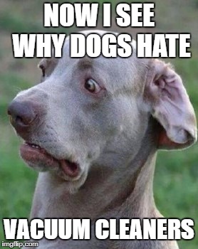 NOW I SEE WHY DOGS HATE VACUUM CLEANERS | made w/ Imgflip meme maker