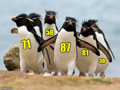 Penguin Gang | 58; 71; 87; 81; 30 | image tagged in memes,penguin gang | made w/ Imgflip meme maker